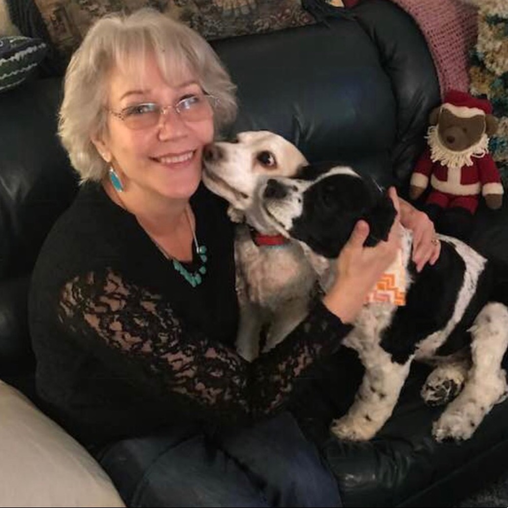 Meet your Posher, Cher